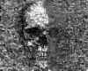 Skull background