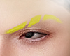 Eyesbrows Project 2.3