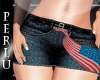 [P]4 July 15 Skirt