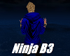 Ninja B3