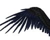 Dark blue and grey wings
