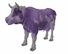 Cow Milka