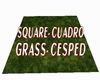 GM's Square Grass carpet