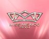 Sash Zacatecas