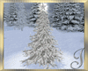 Christmas ~ Tree
