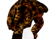 Leopard Jacket
