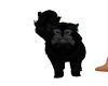 AS Black Persian Cat