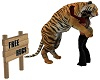 tiger hug 3