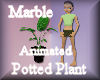[my]Marble Potted Plant