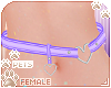 [Pets] Belt | Purple
