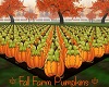 Fall Farm Pumpkins
