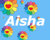 Aisha Custom chain
