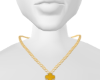Collar 2 VanCf Yellow 1