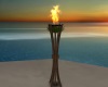 Beach Torch