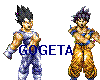 Fusion Goku & Vegeta