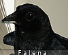 [👹] Malefica Crow