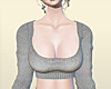 Light Grey Sleeves Top