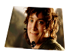 LOTR Poster Frodo