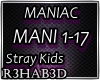 Stray Kids -MANIAC