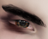Brown Hazelnut Eyes