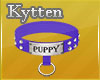 -K- Puppy Blue Collar
