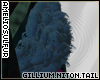 Gillium Niton Tail