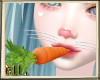 ML Easter Bunny Carrot