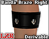 Banda Brazo Derivable