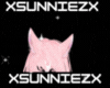 pnk dreamz ears
