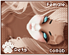 [Pets] Fievel | hair v4