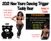 2021 New Years Trig Bear