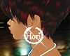 Hori's Hoops