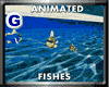 [G] ANIMATED FISHES