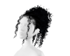 JC BLACK CURL BUNN