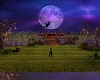 Moonlight 2