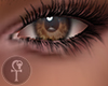 HLS|Allure| 4