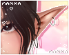 𝓶. elf ears!