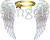 Angel Wings 1