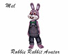 Robbie Rabbit Cost