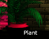 Palm Plant Blk/Pink Vase