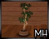 [MH] AR Plant II
