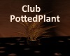 [BD]ClubPottedPlant
