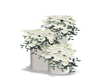 White flower pillars