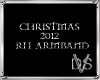 Christmas 2012 RH Armban
