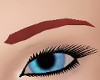 Red Eyebrows/SP