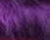 Men dark purple hair