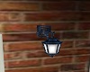 Lx* Wall Lantern