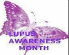 Support Lupus