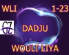 Dadju - Wouli Liya