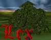 LEX - summerbrise tree